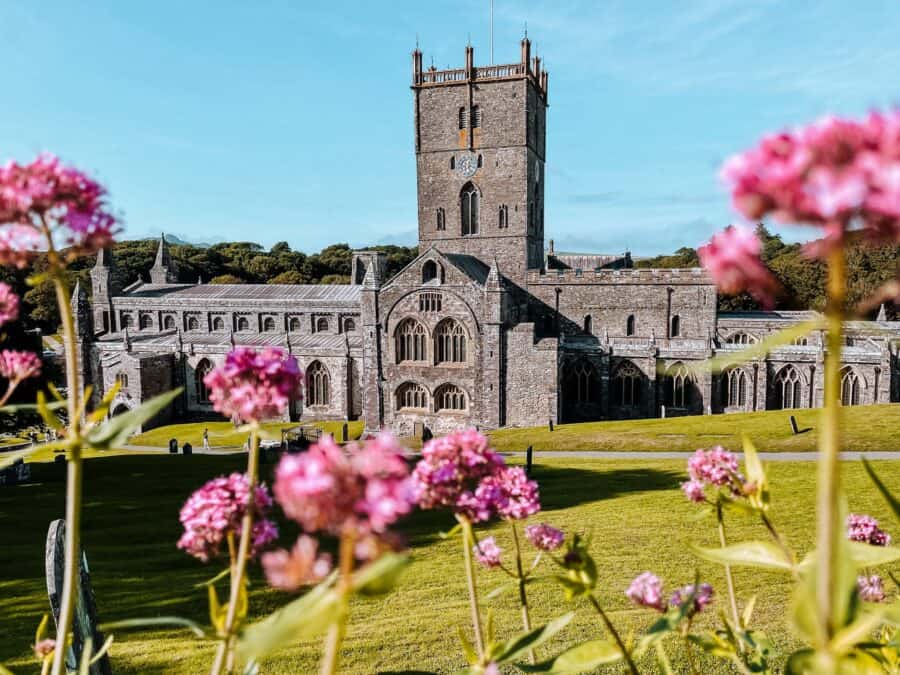 St David's Cathedral bordered by beautiful pink flowers in Pembrokeshire, Wales, UK