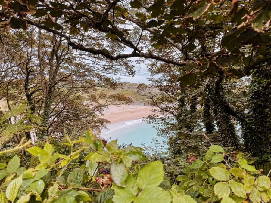 Barafundle Bay poking through the shaded woodland at Stackpole, Pembrokeshire, Wales, UK