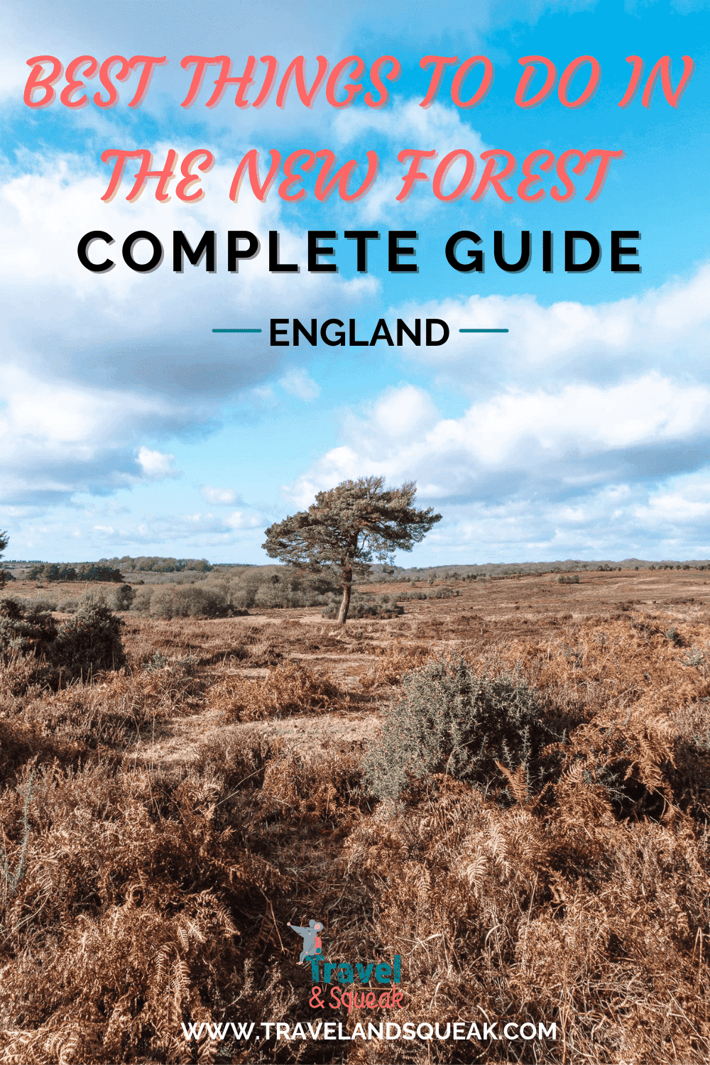 9 Best Things to do in the New Forest: Complete Guide - Travel and Squeak