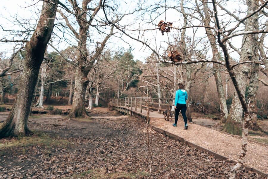 Helen walking over Puttles Bridge, Ober Water, New Forest National Park, Hampshire, England, UK