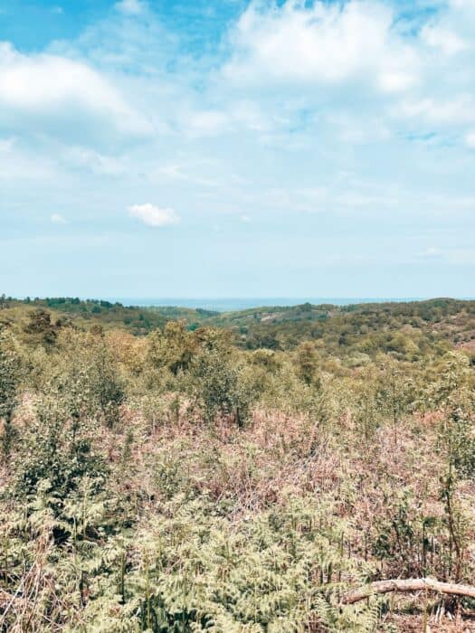 Viewpoint at Hindhead Commons and the Devil's Punch Bowl, West Sussex, South Downs National Park, UK