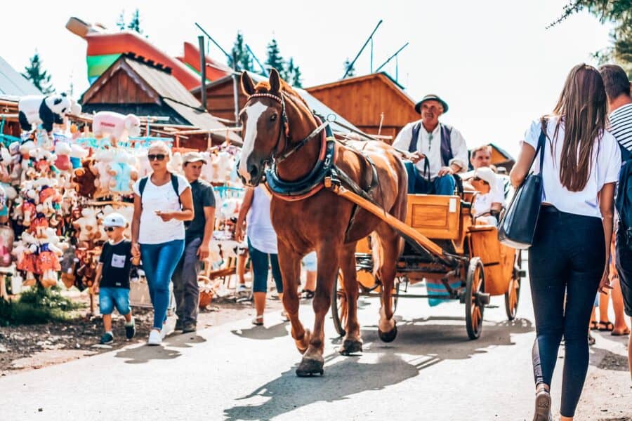 Horse and cart on Gubalowka Hill, Zakopane, Poland, Tatra Mountains