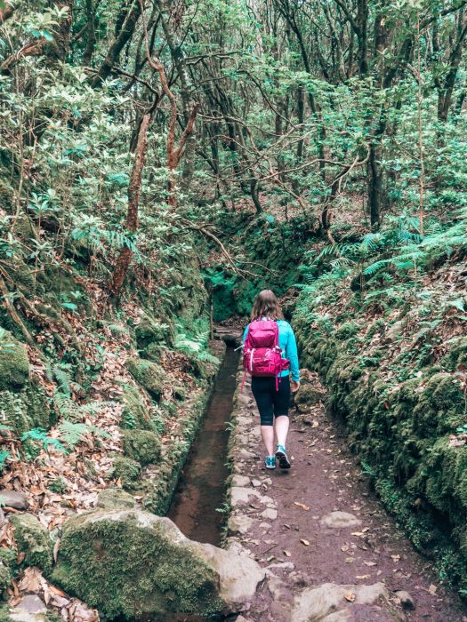 Helen walking through the lush dense Queimadas Forestry Park, Caldeirão Verde, Hikes in Madeira, Portugal