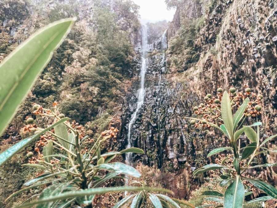 The magnificent Risco Waterfall, things to do in Madeira, Portugal