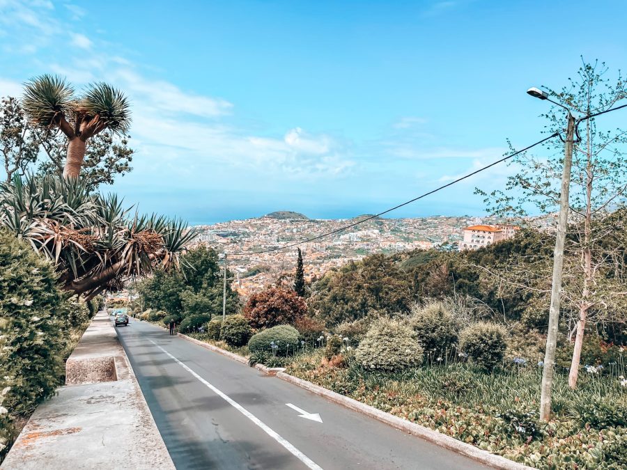 Admiring the beautiful view over Funchal as you toboggan from Monte is one of the best things to do in Madeira, Portugal