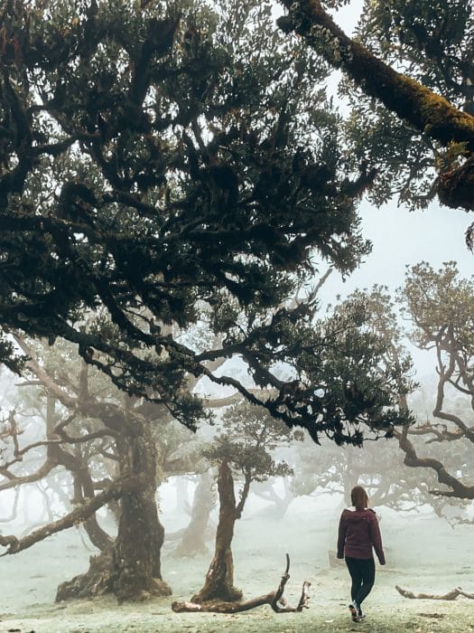 Helen walking through the twisted branches of Fanal Forest shrouded in mystical fog, things to do in Madeira, Portugal