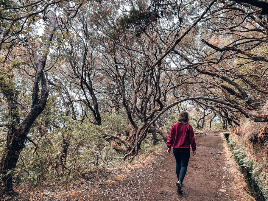 Helen walking along the Levada das 25 Fontes Trail underneath fairytale-esque twisted branches, Madeira, Portugal