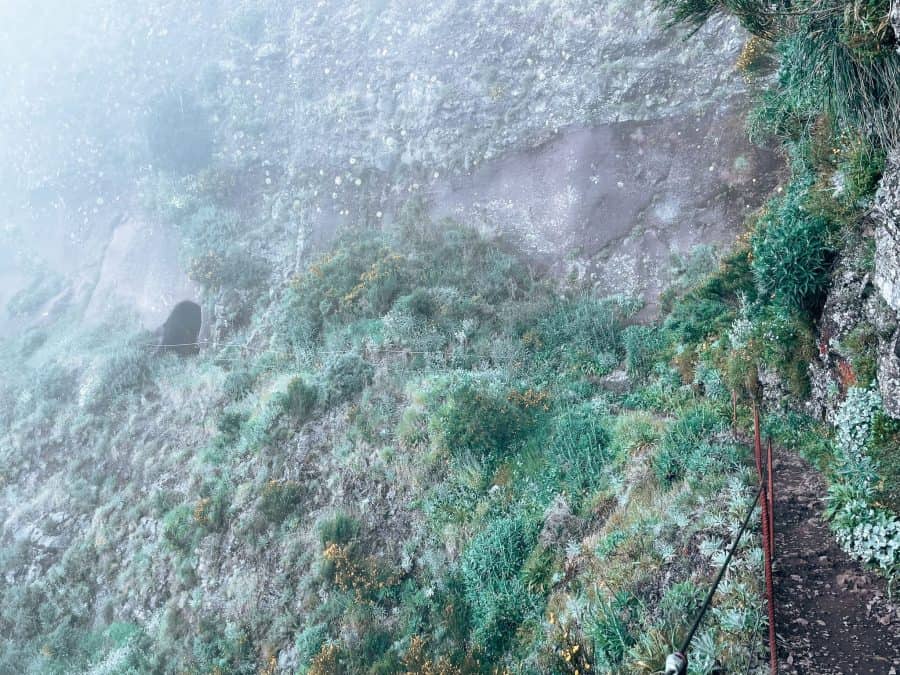 A narrow path on the side of the mountain shrouded in cloud with a dark tunnel to walk through at the end, Pico Ruivo, Madeira, Portugal