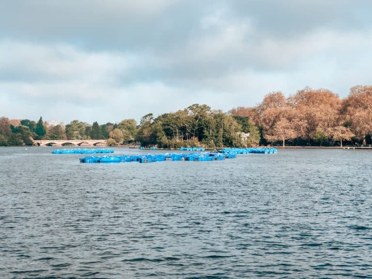 Pedalos in the middle of The Serpentine surrounded by golden trees in Hyde Park, London