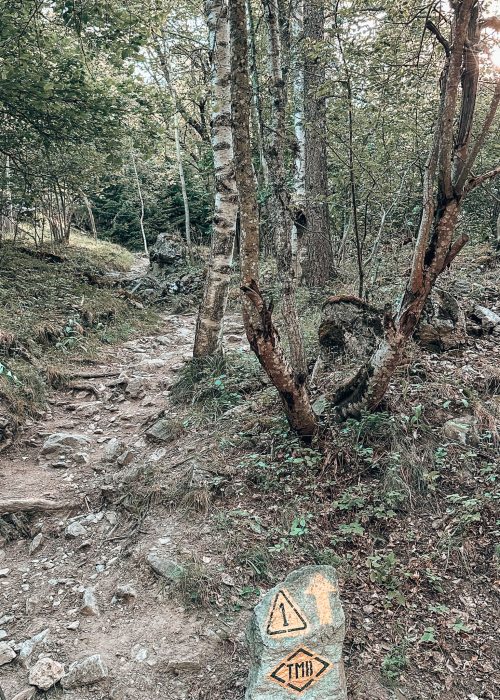 Hiking through the forest with yellow markings on the rocks on the floor, Tour du Mont Blanc