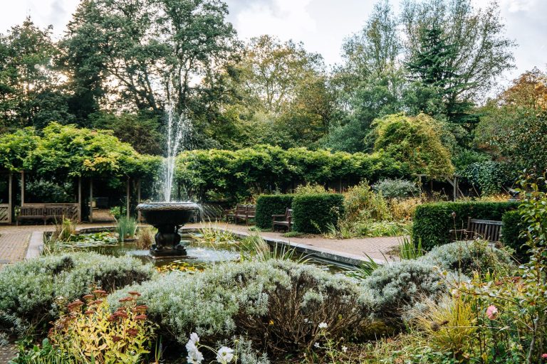 A fountain surrounded by lush greenery, plants and flowers in the Old English Garden at Battersea Park, London