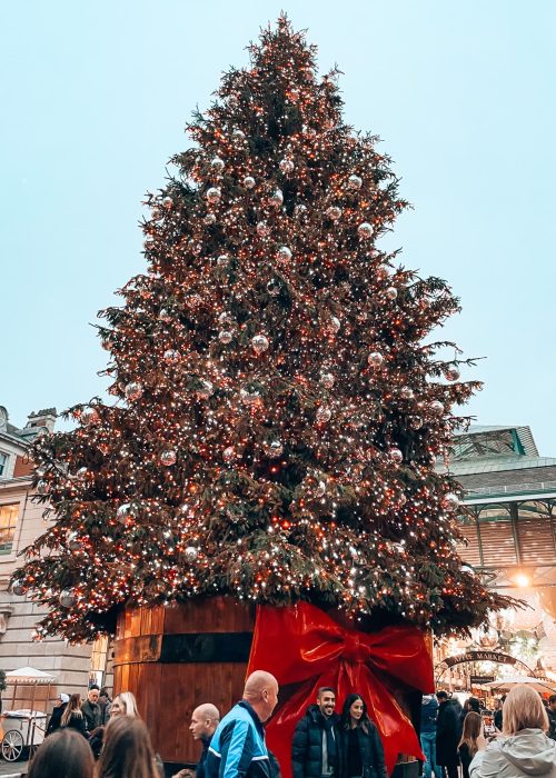 A huge Christmas tree in a massive plant pot with a bright red bow on it in Covent Garden at Christmas, London