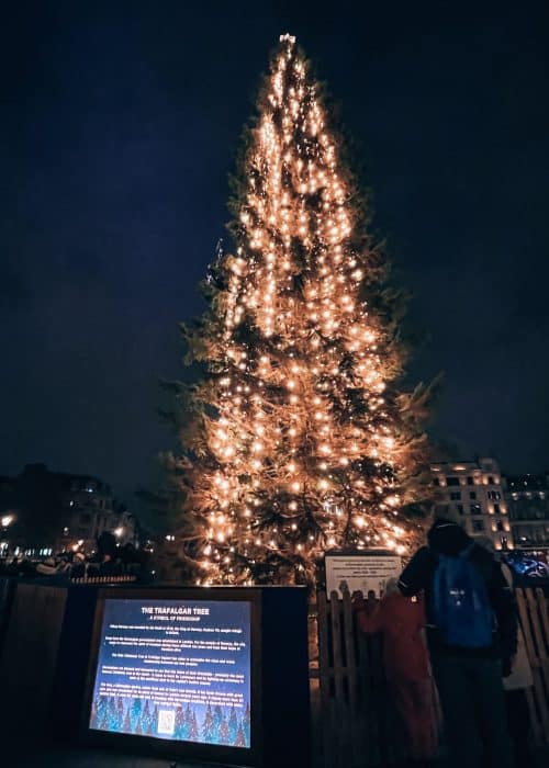 The Trafalgar Square Christmas Tree covered in lights at Christmas 2022, London