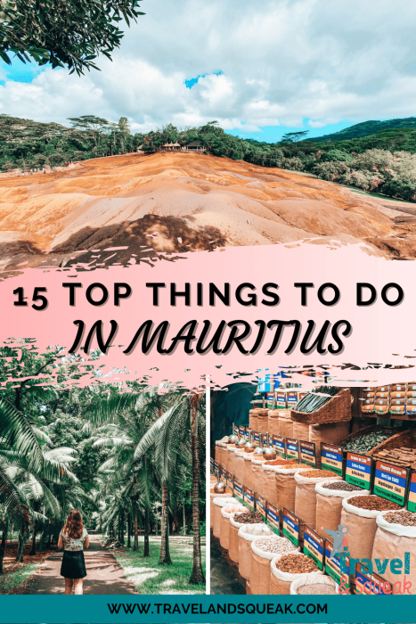 Save this post on things to do in Mauritius for later