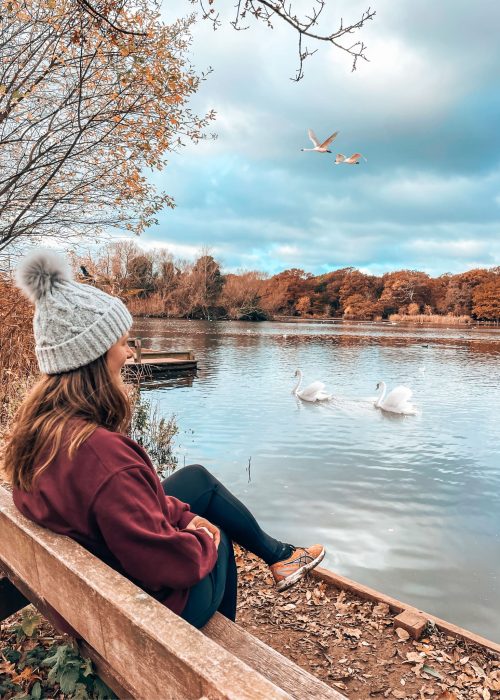 Helen sat on a bench overlooking the lake at Connaught Water with swans and birds, Epping Forest, London