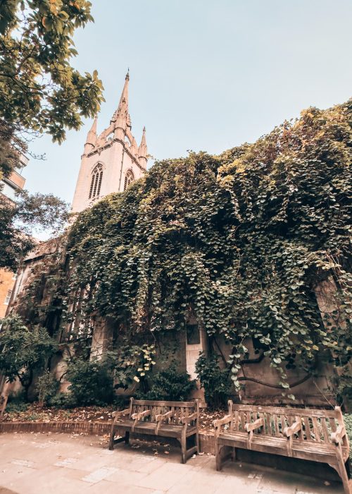 The Wren tower and steeple towering above a wall covered in thick vine at St Dunstan in the East, London