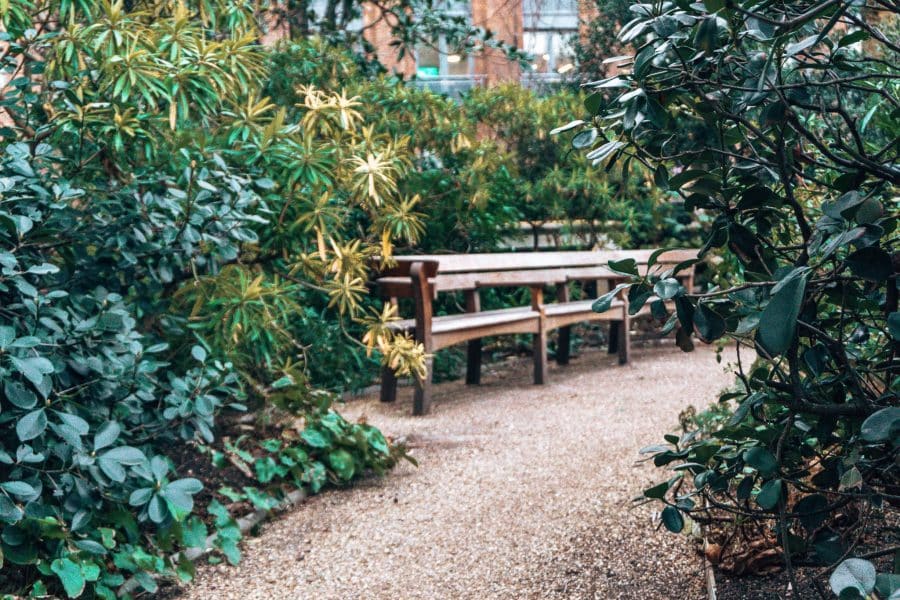 A bench nestled amongst green foliage in the Reflection Garden, London