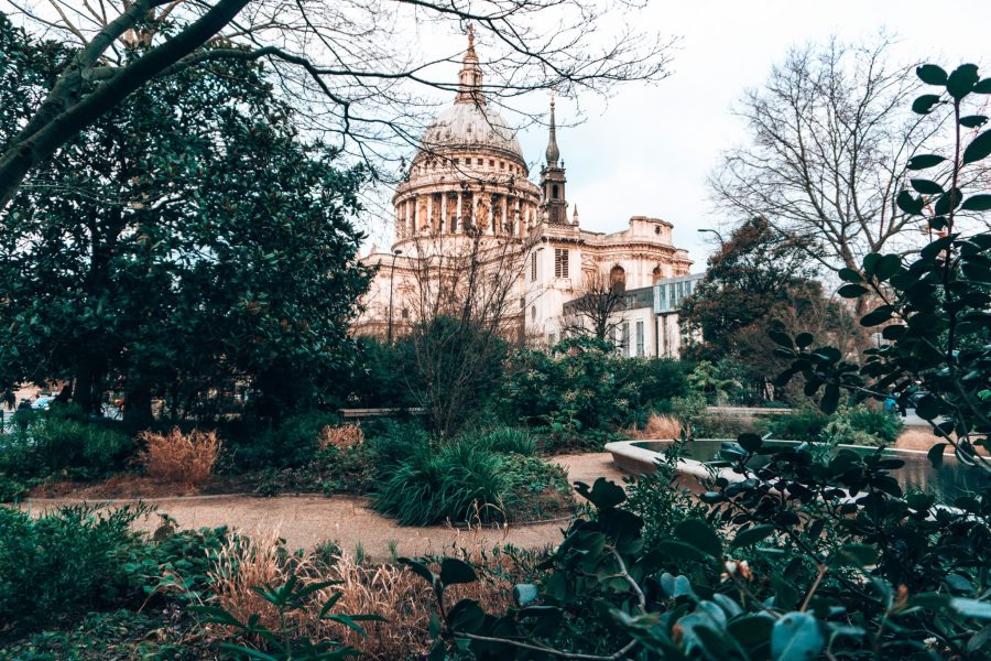 View of St Paul's Cathedral behind lots of green plants and trees and a pool, Reflection Garden, London