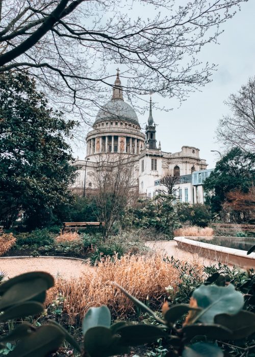 St Paul's Cathedral poking through trees and plants in Reflection Garden, one of the best hidden things to do in London