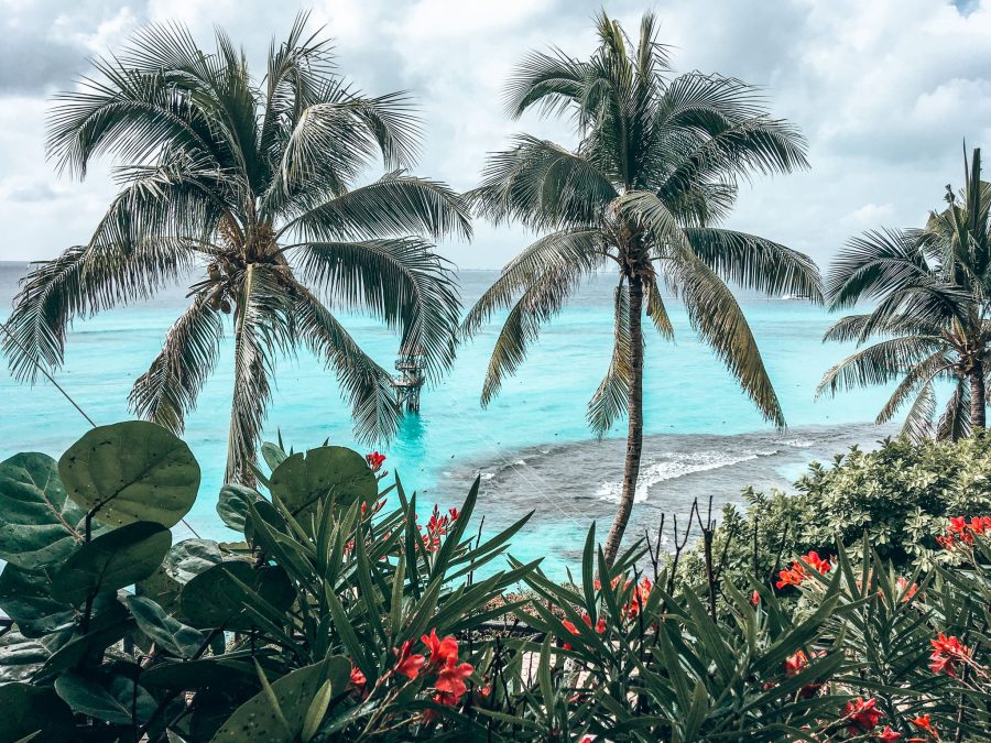 Tall palm trees overlooking the turquoise ocean in Isla Mujeres, one of the best places to visit in Mexico