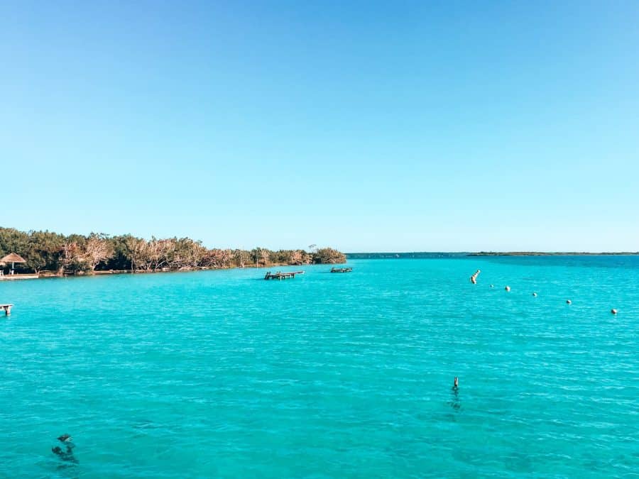 The striking different-shaded blue Lake Bacalar with a shoreline of trees, Mexico