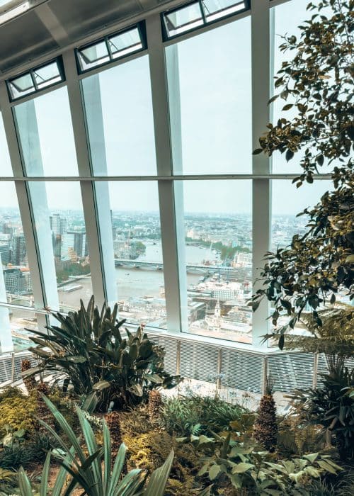 The view over West London through the beautiful plants and shrubbery inside the Sky Garden, London