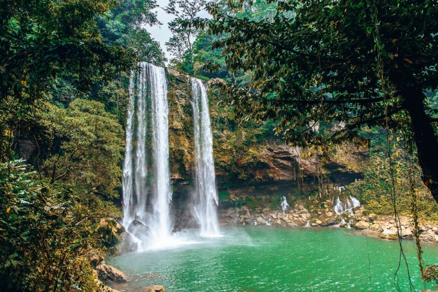 A green pool with a thundering waterfall crashing into it from the thick lush jungle above, Misol-Ha Waterfall, Mexico