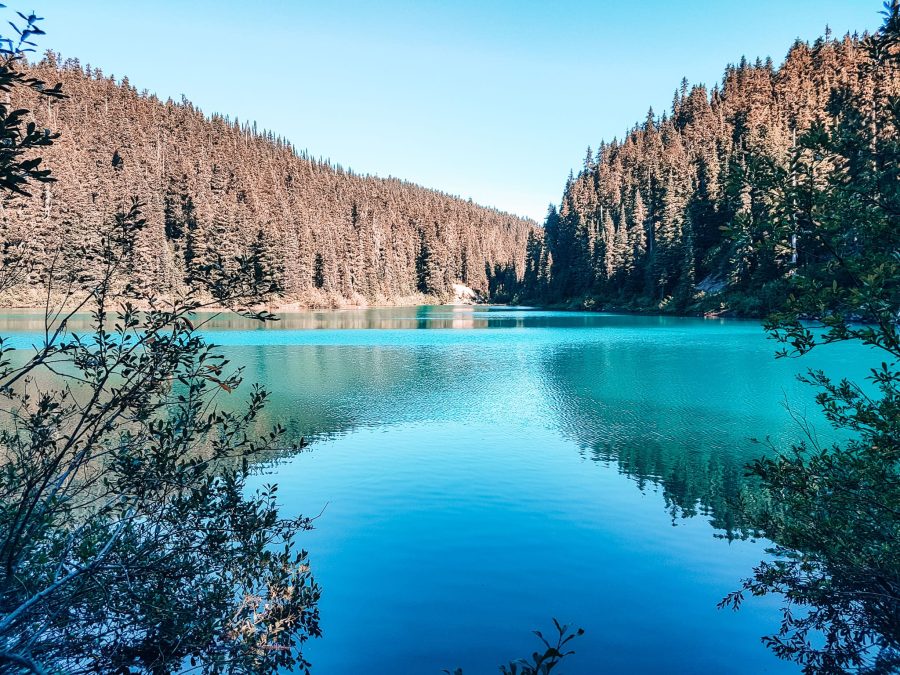 The turquoise Lesser Garibaldi Lake immersed in thick beautiful green scenery, Garibaldi Provincial Park