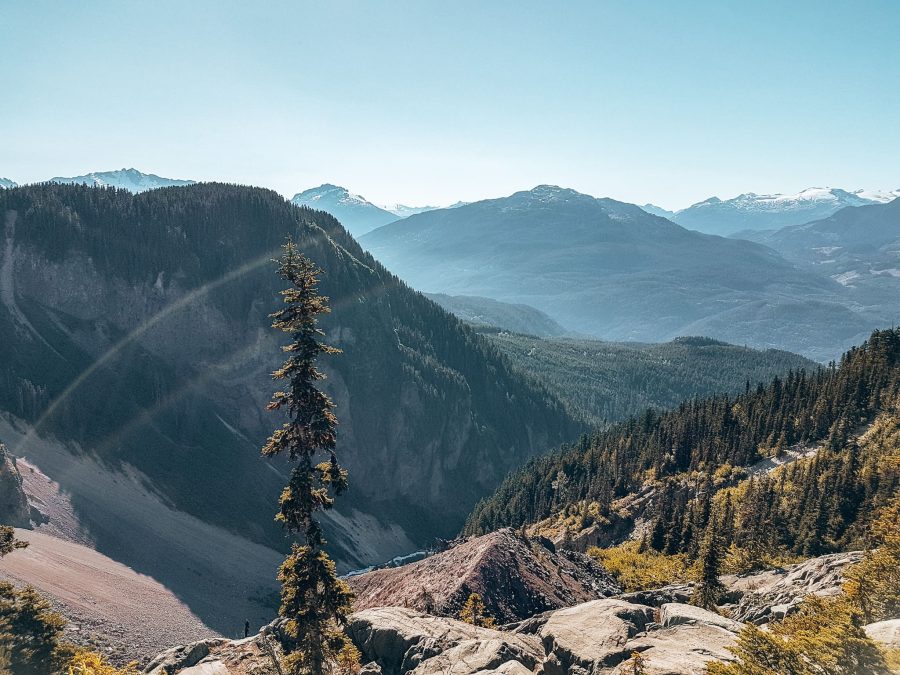 Looking across The Barrier, Garibaldi Provincial Park