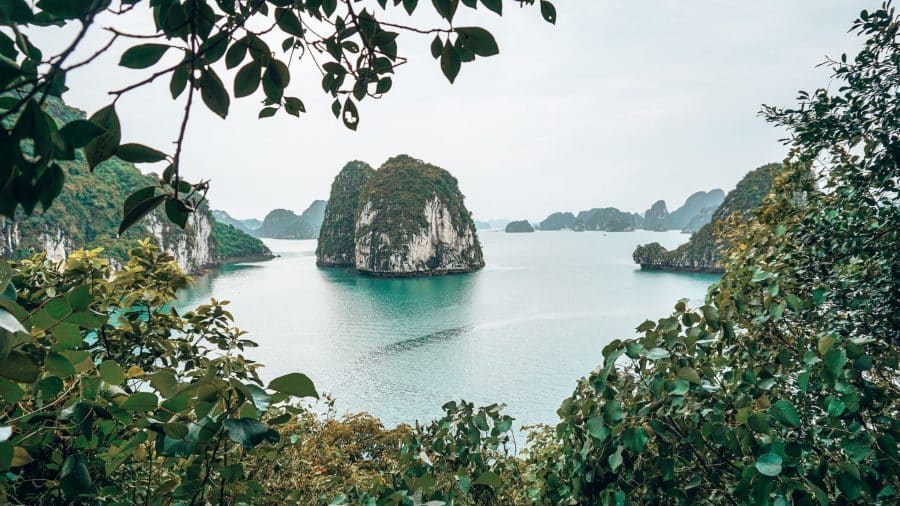 Looking out over the vast ocean scattered with impressive limestone karsts surrounded by greenery, Lan Ha Bay, best of Vietnam