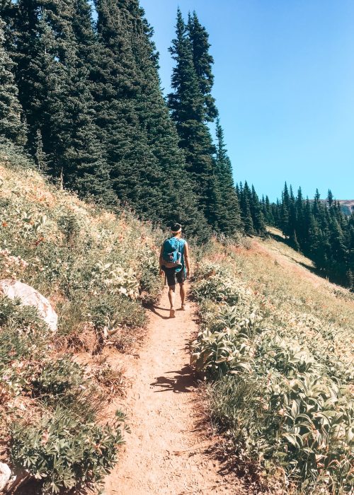 Andy hiking through an alpine meadow in Garibaldi Provincial Park, Canada