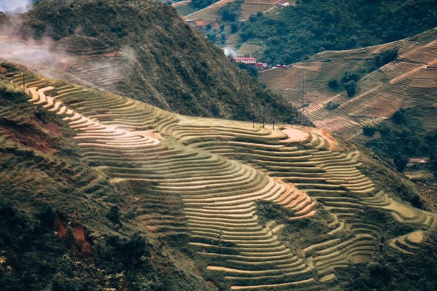 Steep sloping lush green rice terraces in Sapa, North Vietnam