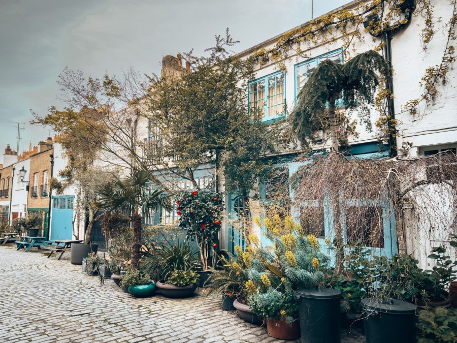 A row of terrace houses with lush green foliage outside, Bathurst Mews, prettiest streets in London