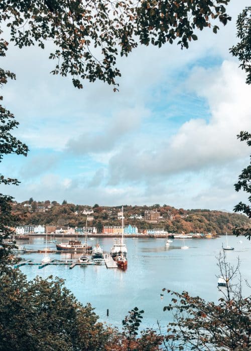 the colourful village and buildings of Tobermory through the trees across the ocean, Isle of Mull, Scotland