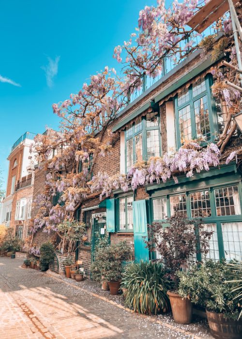 A terraced house covered with purple wisteria on Kynance Mews, Prettiest Streets in London