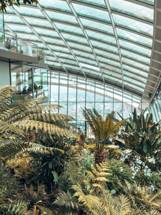 Landscaped gardens in the Sky Garden London