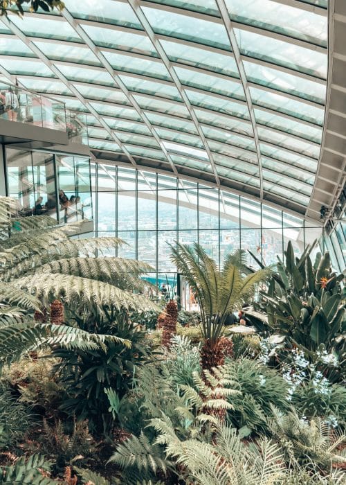 Inside the Sky Garden with lots of plants and huge glass windows and ceiling, free viewpoint in London