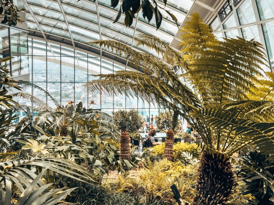Inside the Sky Garden with lots of plants and huge glass windows and ceiling