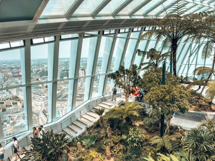 Indoor plants at the Sky Garden with views over London