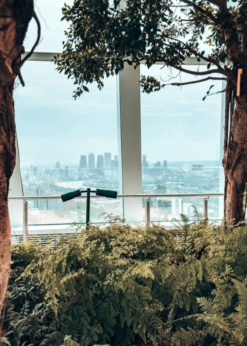 A view of Canary Wharf through the lush greenery of the Sky Garden, one of the best free viewpoints in London