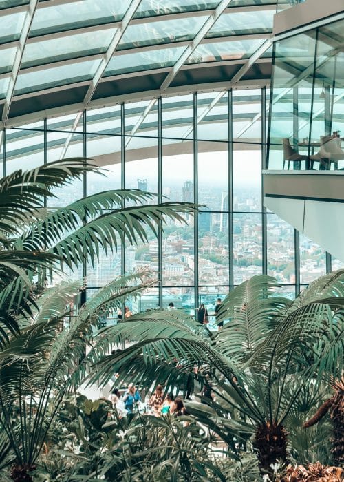 Inside the Sky Garden with lots of plants and huge glass windows and ceiling, free viewpoint in London