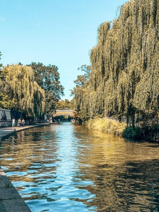 Green trees hanging over the canal, Little Venice in summer, London