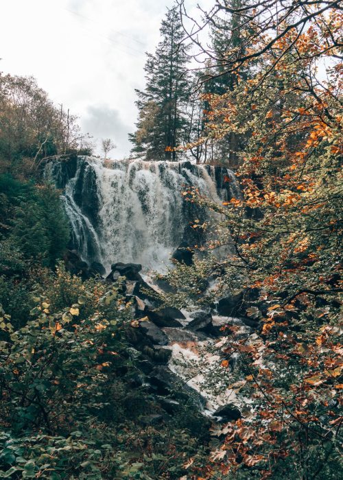 Waterfall in Aros Park, Aros Falls, surrounded by beautiful golden autumn leaves, Tobermory, Isle of Mull, Scotland