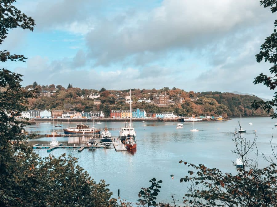 A row of brightly-coloured buildings poking through the trees along the waterfront in Tobermory, best places to visit on Mull, Scotland