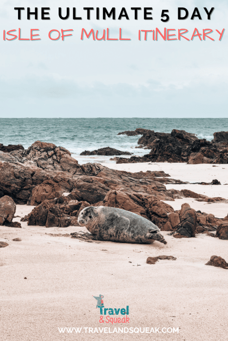 A pin on an Isle of Mull Itinerary with an image of a seal on a beach on the Isle of Iona, Scotland