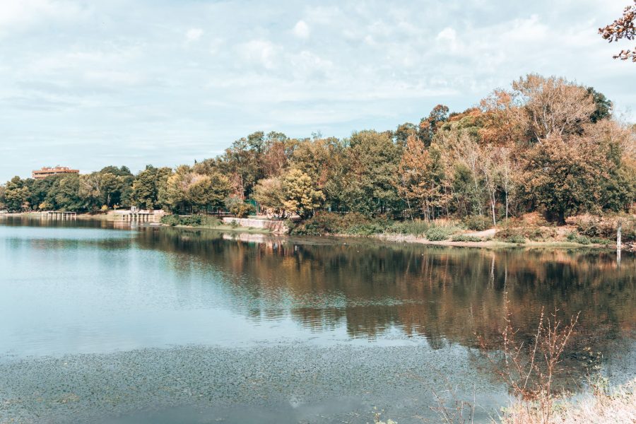 A large lake surrounded by trees in Grand Park of Tirana, Albania