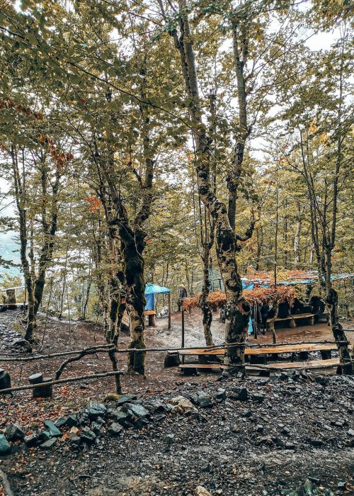 A cafe in the woods with benches in the trees overlooking the view over Theth on the hike from Valbona to Theth, Albania