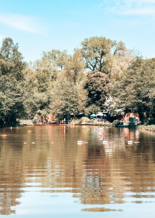 A pond with floats in surrounded by trees, Hampstead Heath Bathing Ponds, London Itinerary