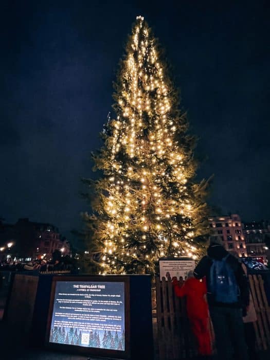 The Trafalgar Square Christmas Tree covered in lights at Christmas in London