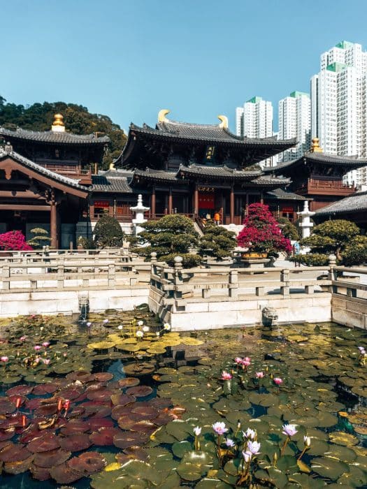 A lotus pond with water lilies in front of the magnificent Chi Lin Nunnery with skyscrapers behind